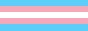 trans flag